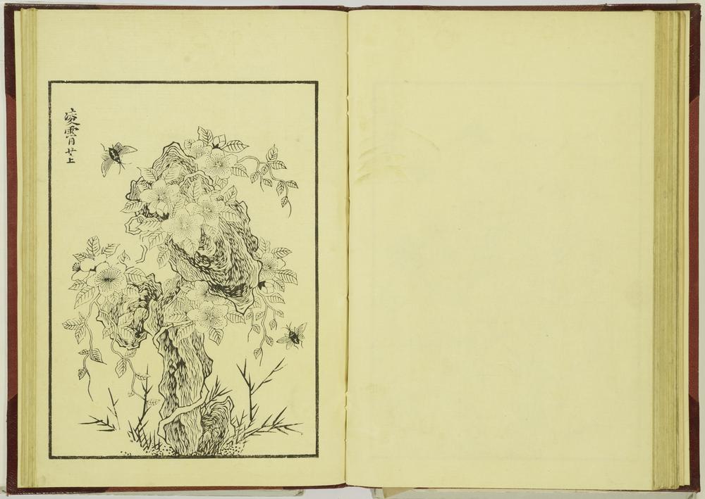 图片[37]-illustrated book; print BM-1915-0823-0.242-China Archive